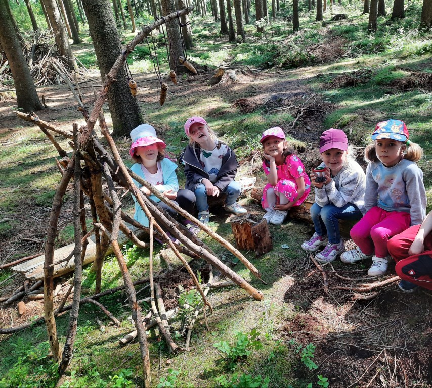 Tipi