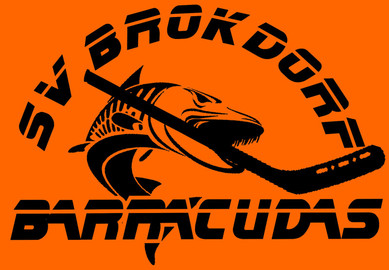 Eishockey Barracudas - Sputnik