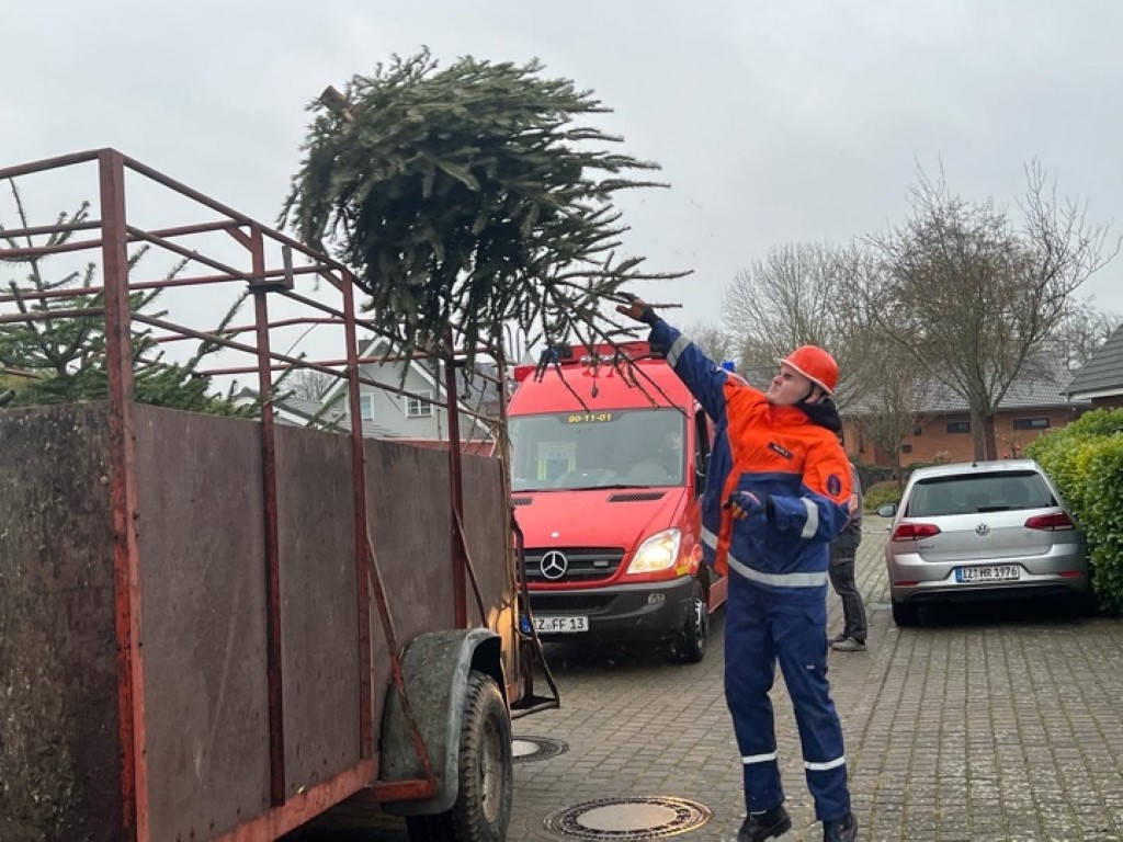 Weihnachtsbaum