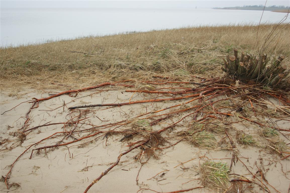 Wo bleibt unser schöner Strand?