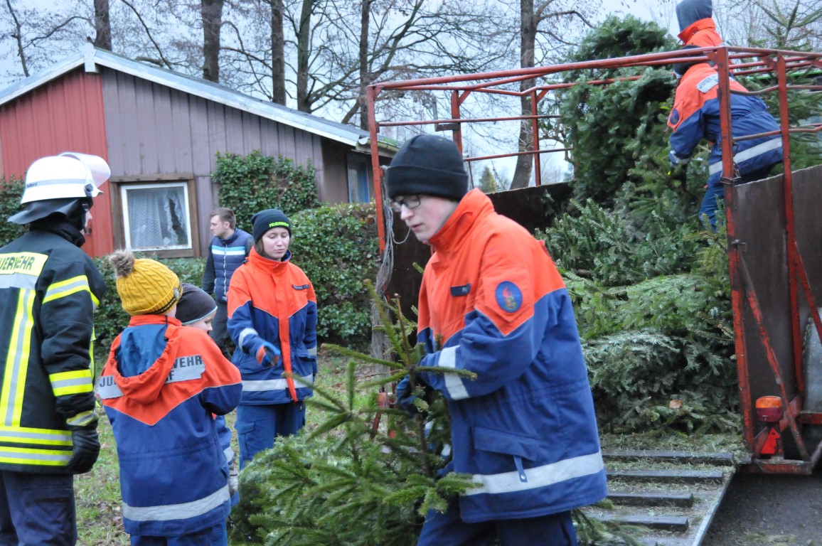 Weihnachtsbäume