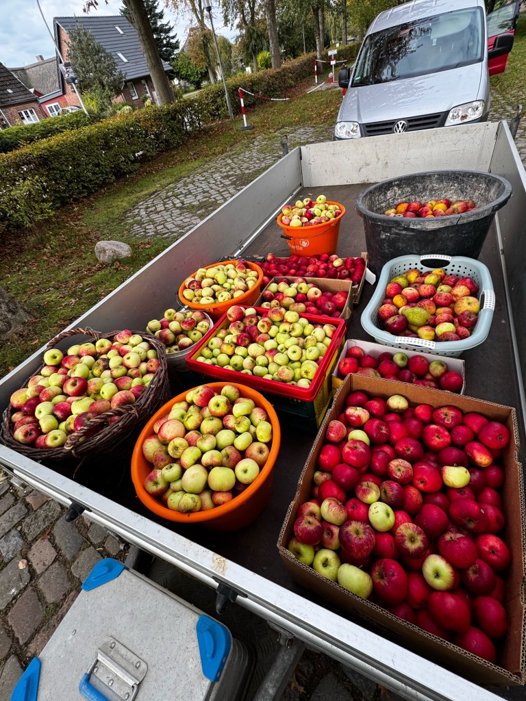 Äpfel