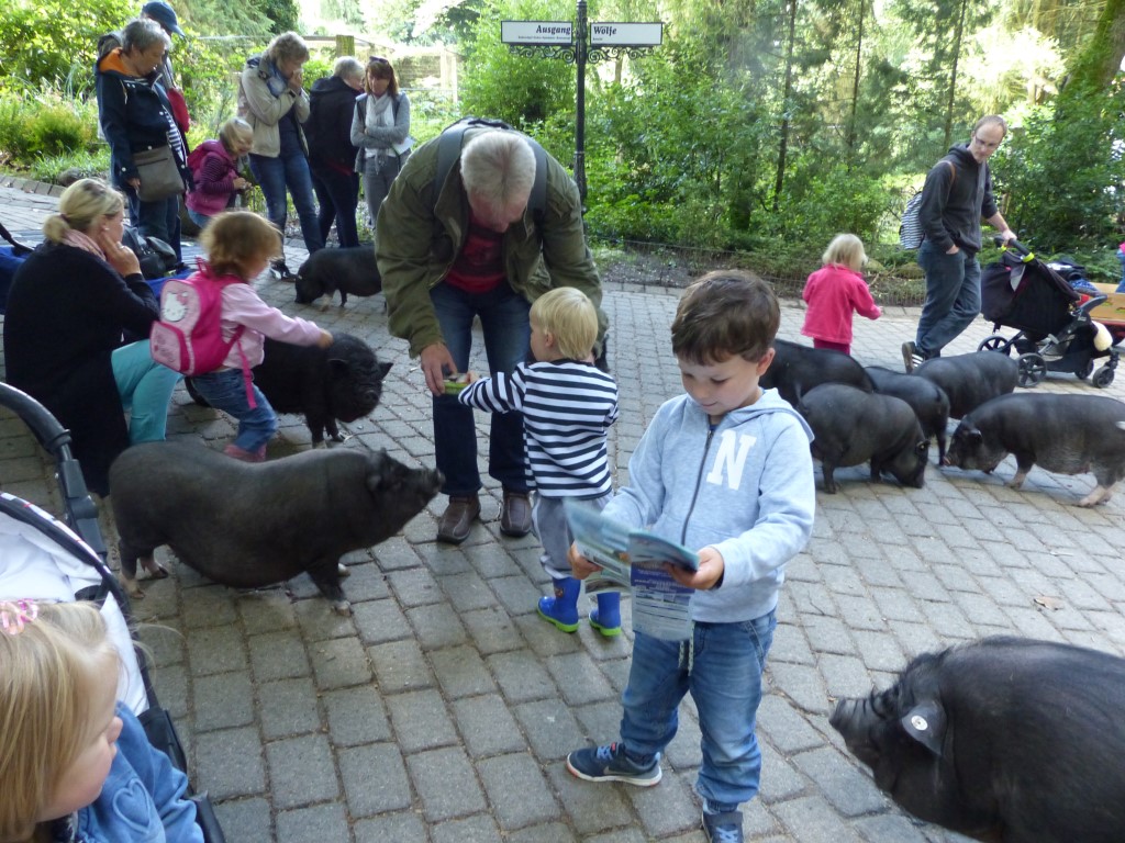 Deichkieker-Kinder im Wildpark