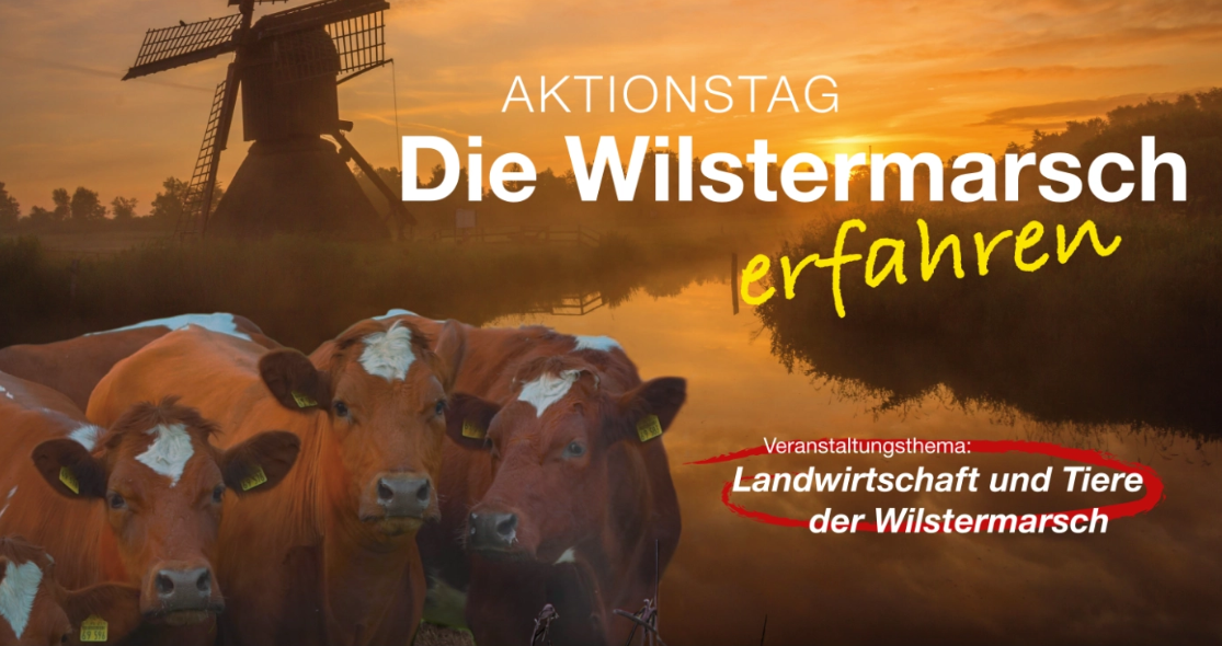 dieWilstermarscherfahren