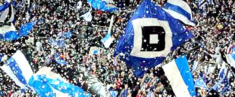 HSV Fan Club Brokdorf