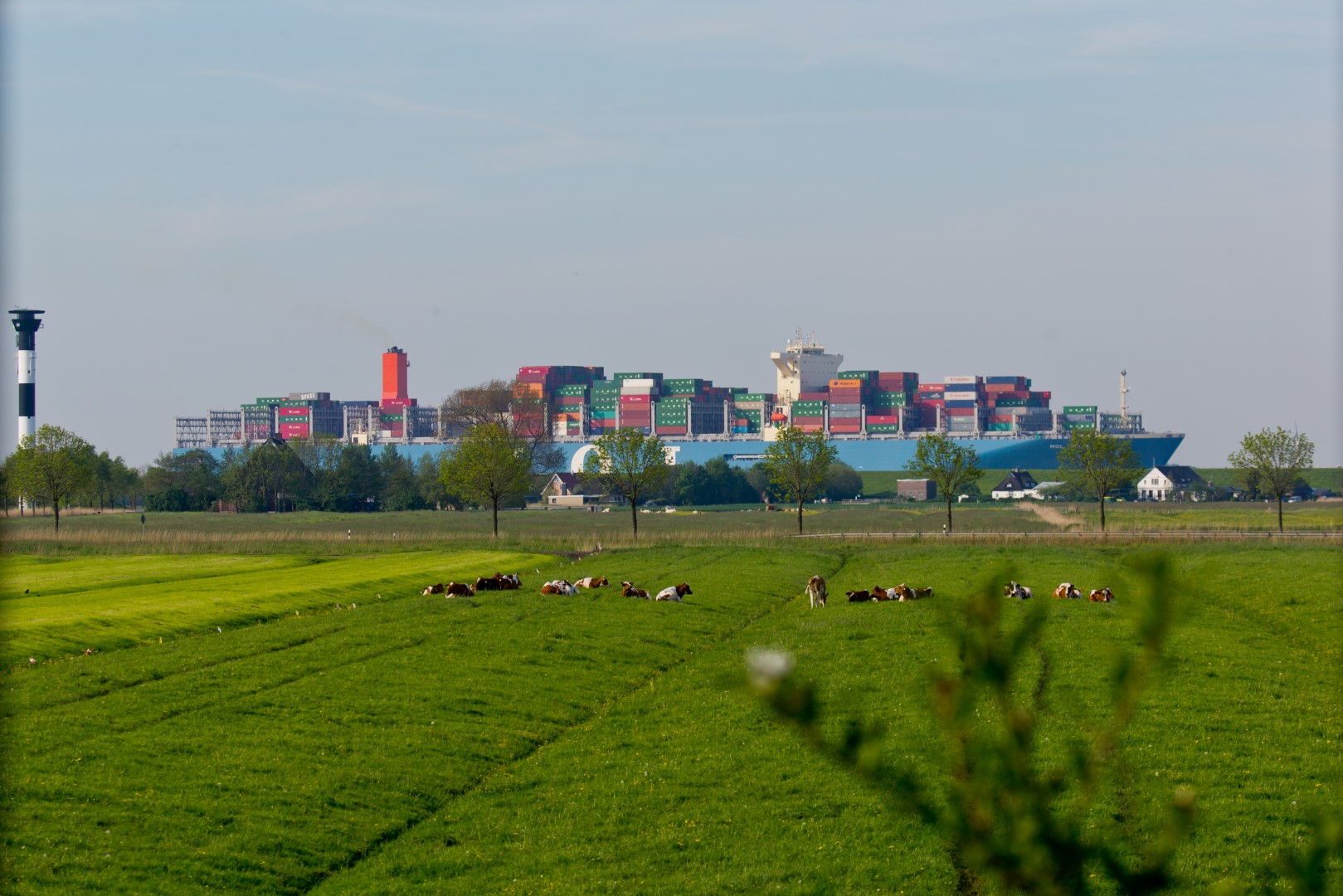 MOL Triumph Elbabwärts