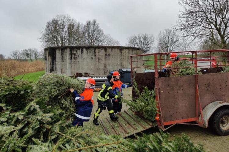 Weihnachtsbäume