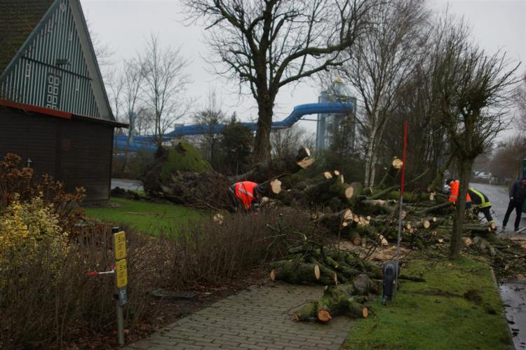 Stumschaden Mühle 10. Jan. '15