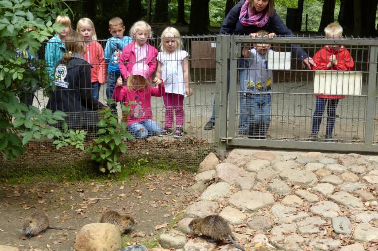 Deichkieker im Tierpark