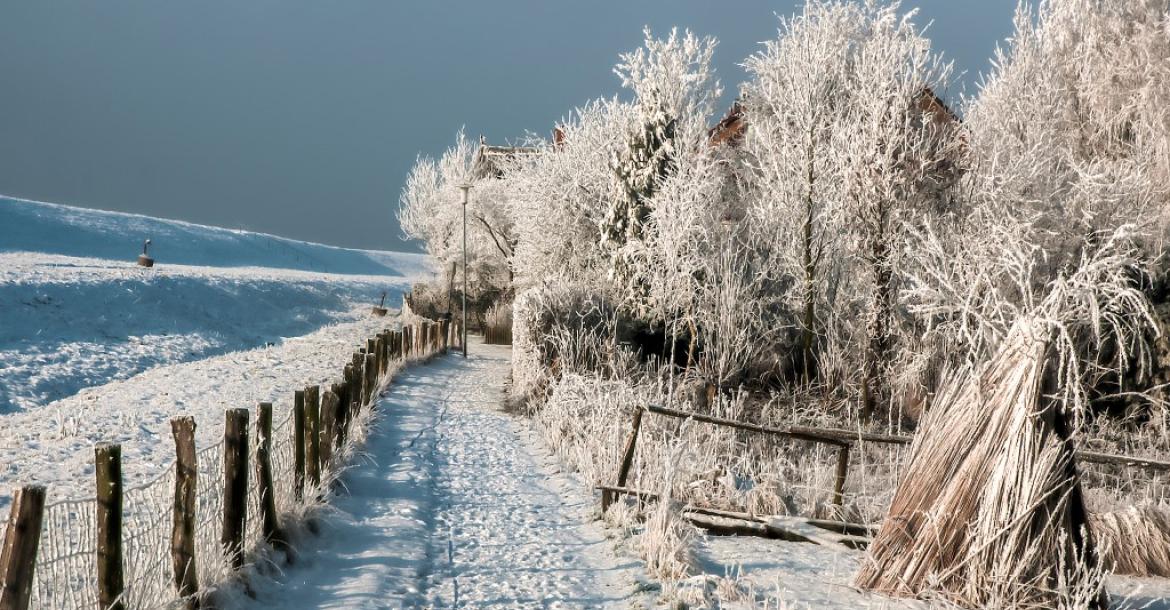 Winter