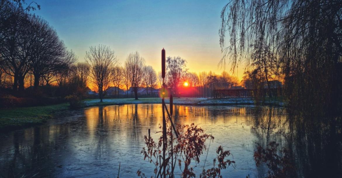 Mühlenteich