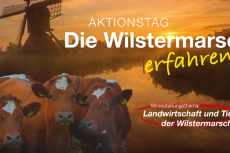 dieWilstermarscherfahren